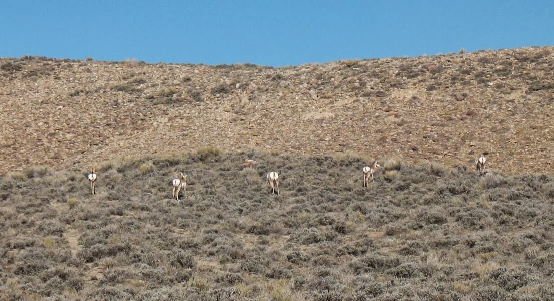 no longer at ease: 2013