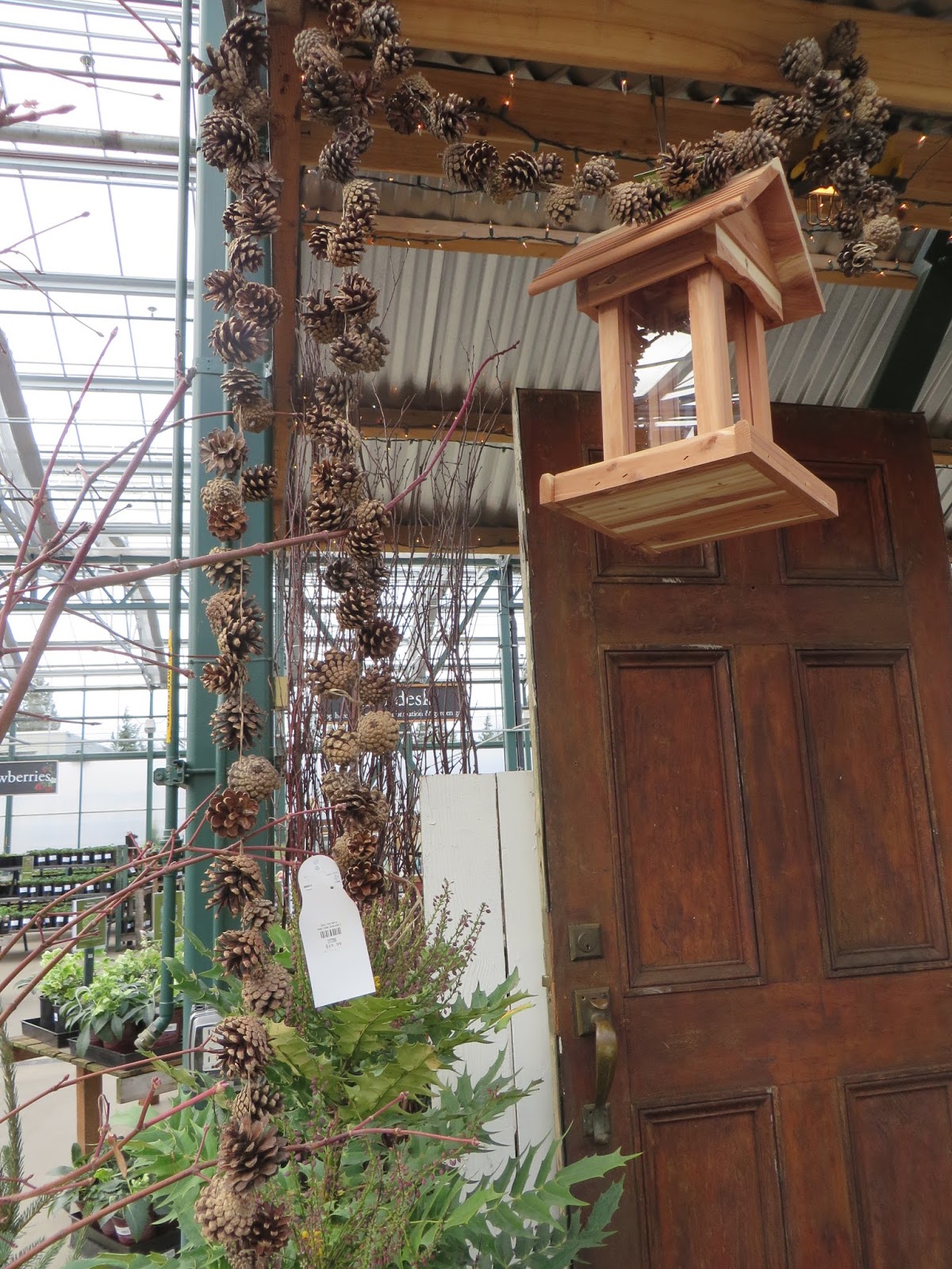 Nursery Visit Sky Nursery Seattle