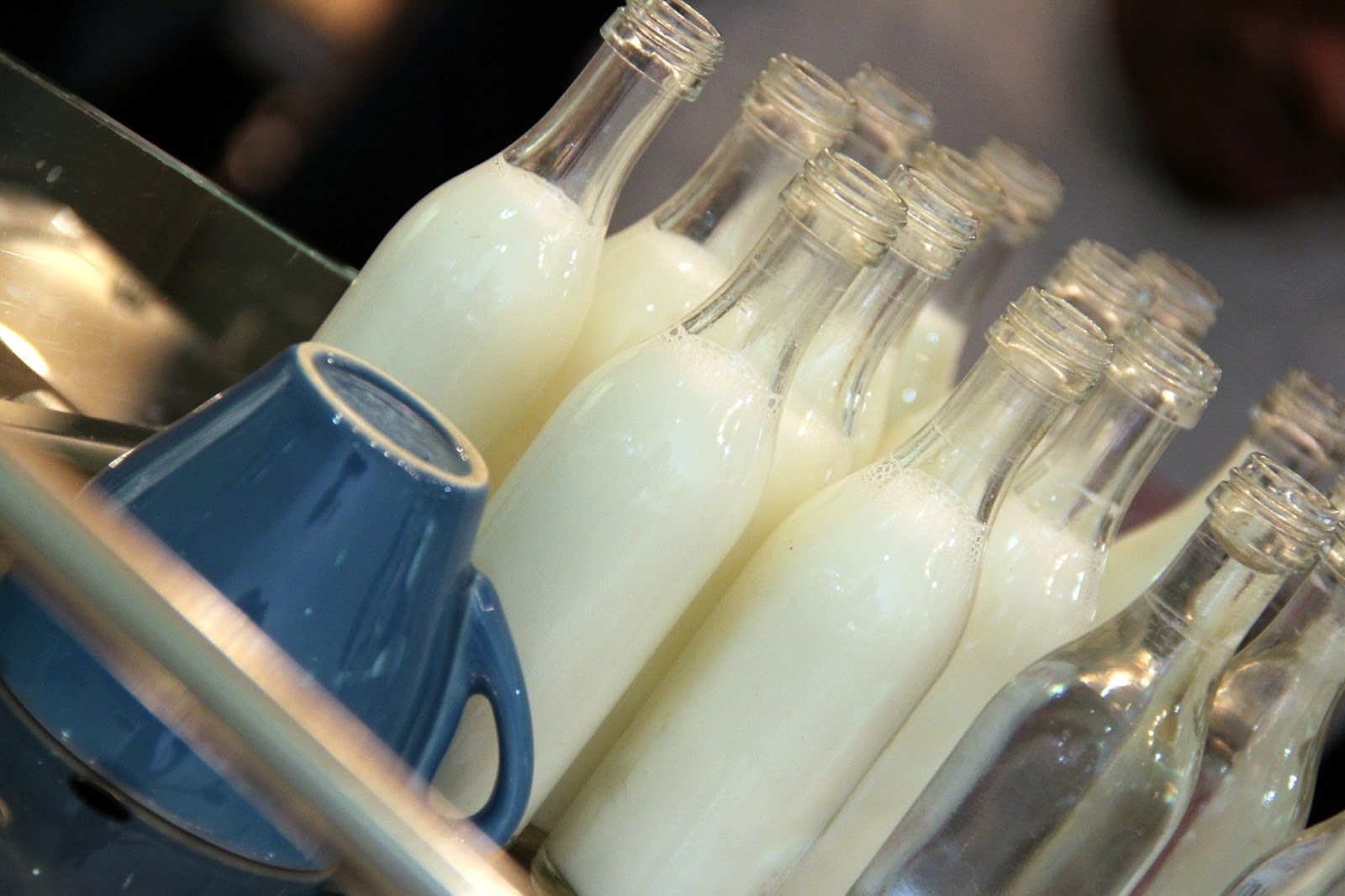 Under our own olive tree When in Pretoria.. Lucky Bread Company