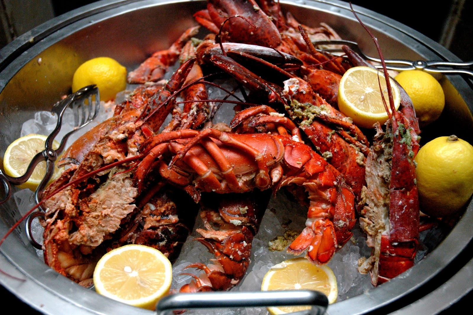 DUDE FOR FOOD Lobster All You Want with Lobster Mondays at Marriott Cafe