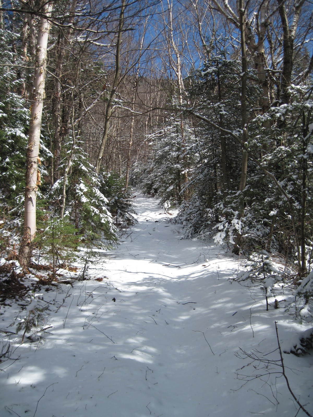 ScAtTeRbOnE's ADVENTURE'S MENDON/KILLINGTON VT 35 PEAKS (The "Lost