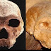 Crânio de 700.000 anos Descoberto na Grécia desafia a teoria da evolução fora da África