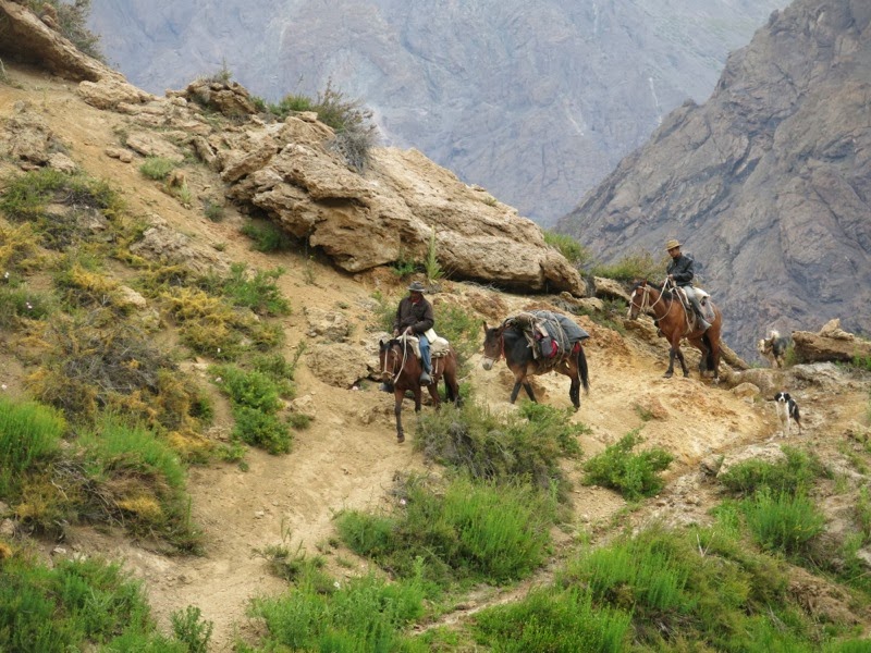 Renato und Fernando mit dem Maultier