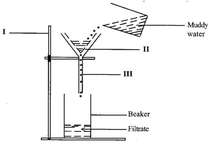 Integrative network design project 2 essay 04 image