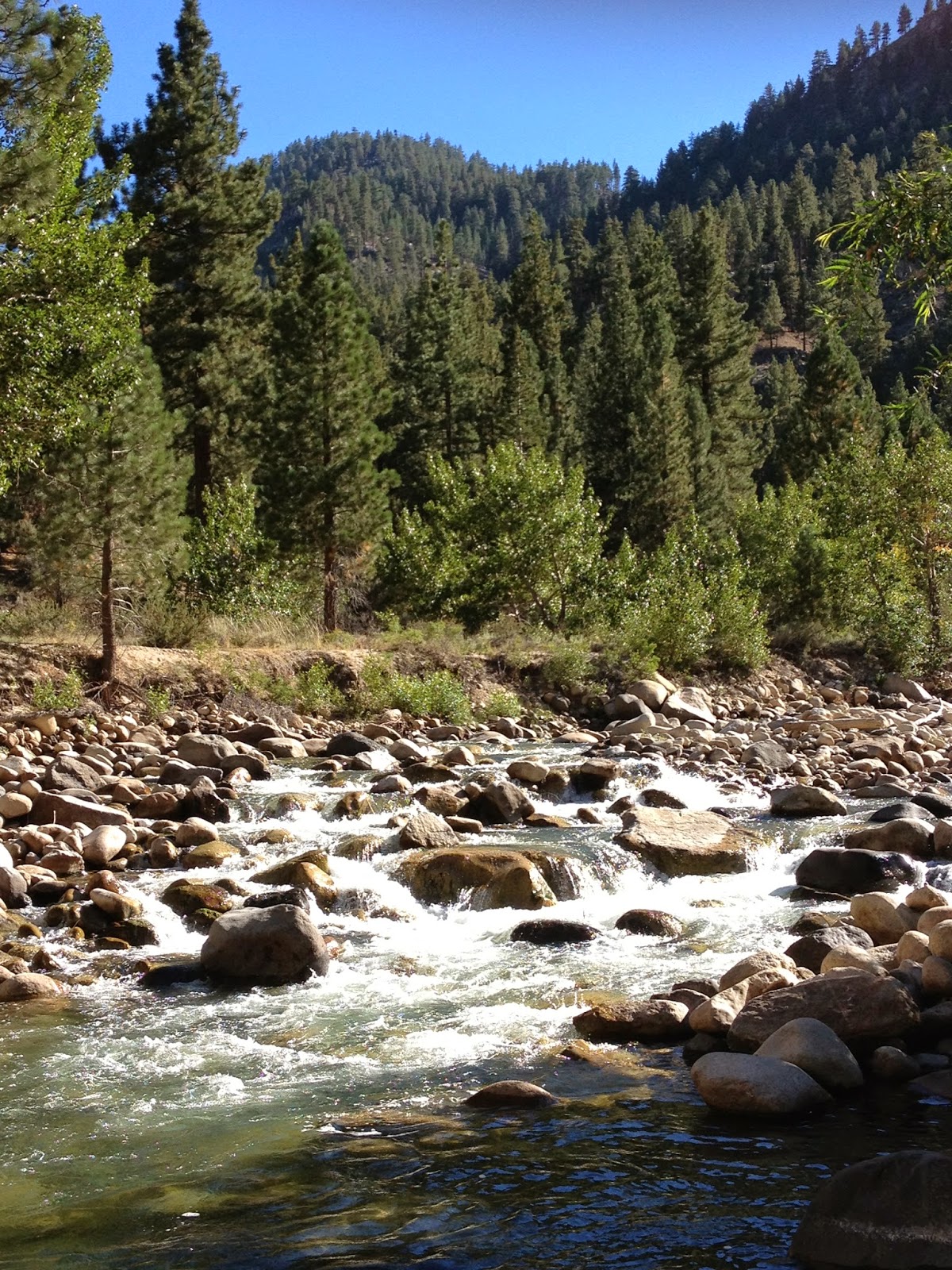 Things to See in California