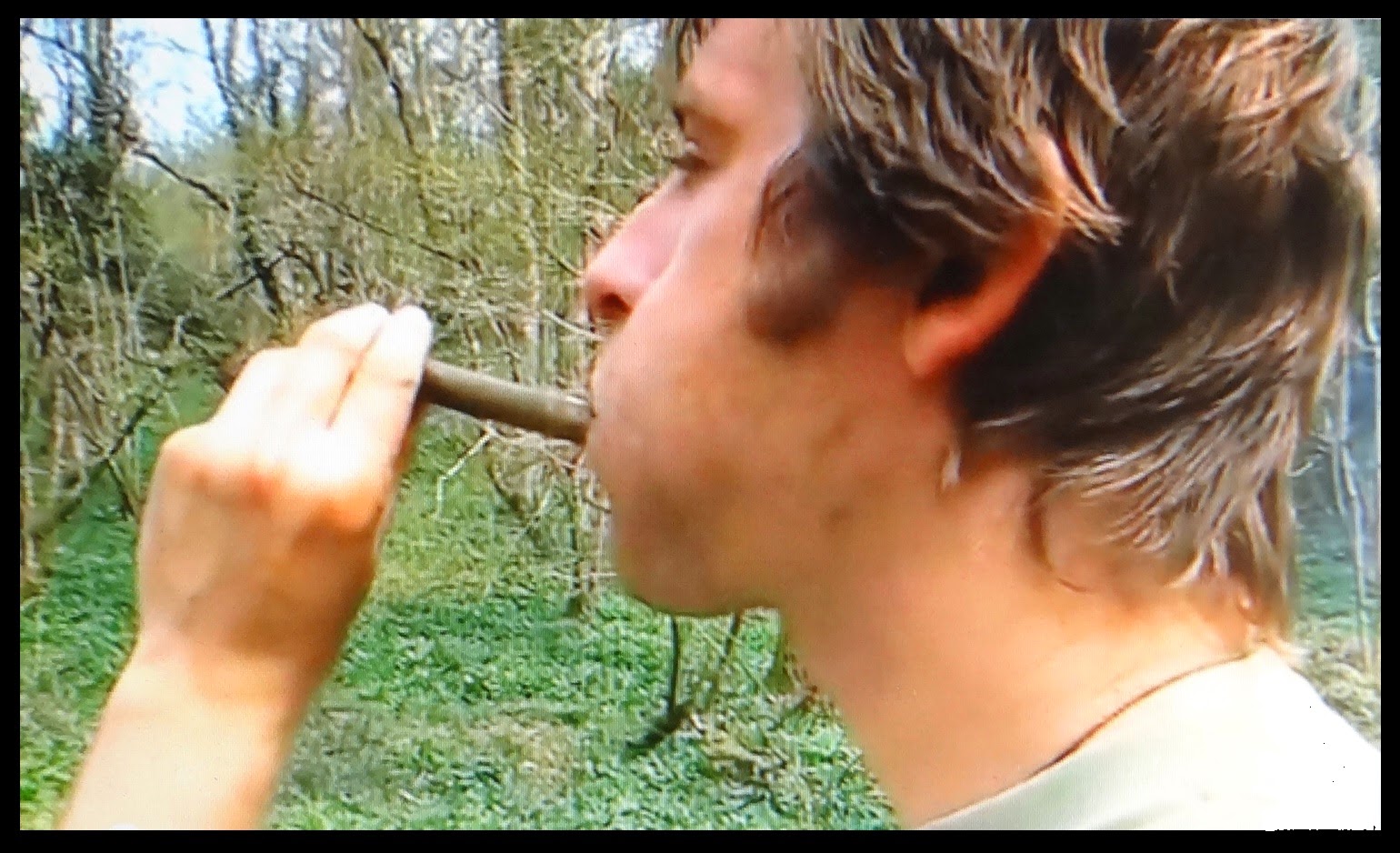 How to make a whistle from a twig