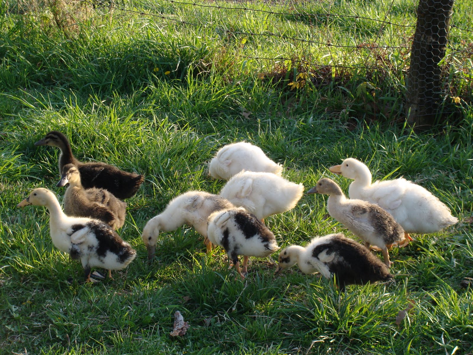 WildernesFamily: April 2011