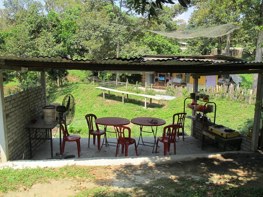 隐形的猫 2: Broga Rabbit Fun Land