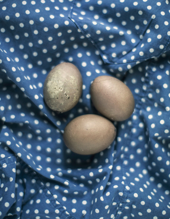 gretchen gretchen: Beautiful DIY Easter Egg - Dyed With Avocado