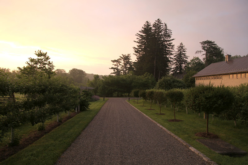 Juniper and York Martha Stewart's Cantitoe Corners Farm