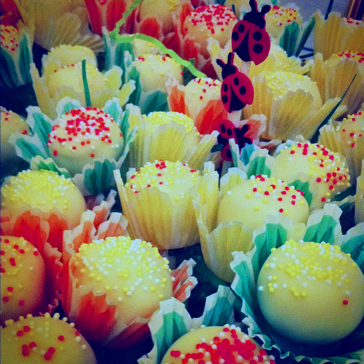 The Late Blooming Chef Sin City Chocolate Festival