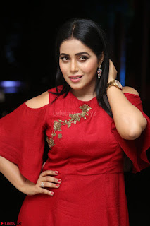 Poorna in Maroon Dress at Rakshasi movie Press meet Cute Pics ~  Exclusive 01