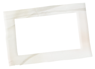 Frames and Borders of the Baby Girl Bear Clipart. Frames and Borders of the Baby Girl Bear Clipart.