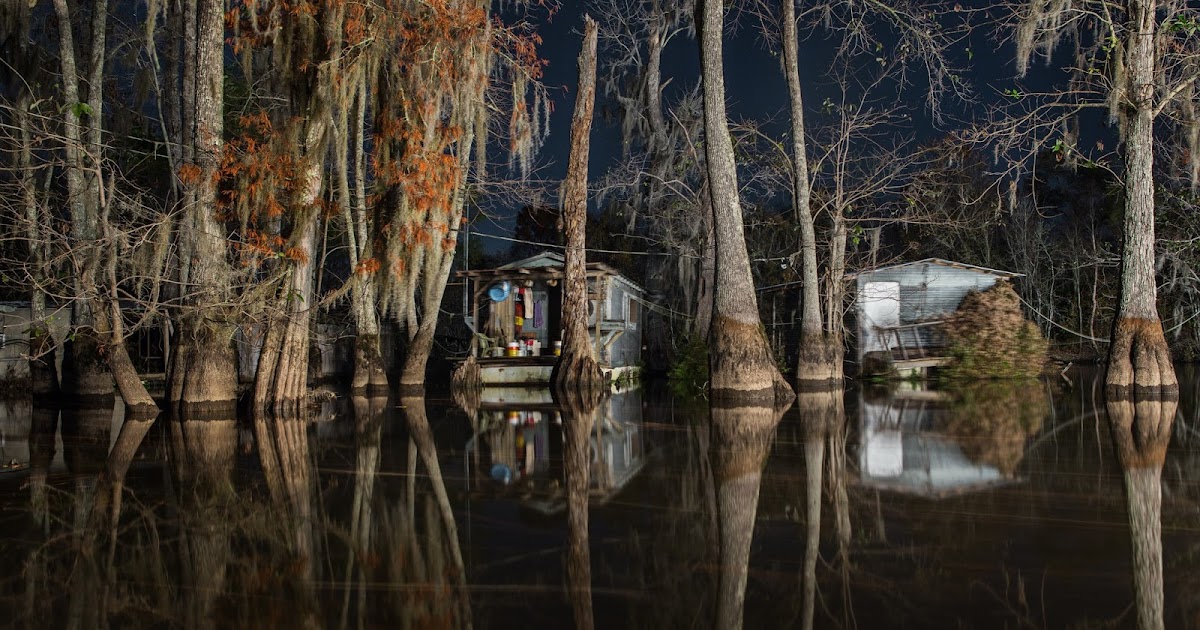 Bayous and Swamps of Louisiana Vadia Houseboats Among Cypress