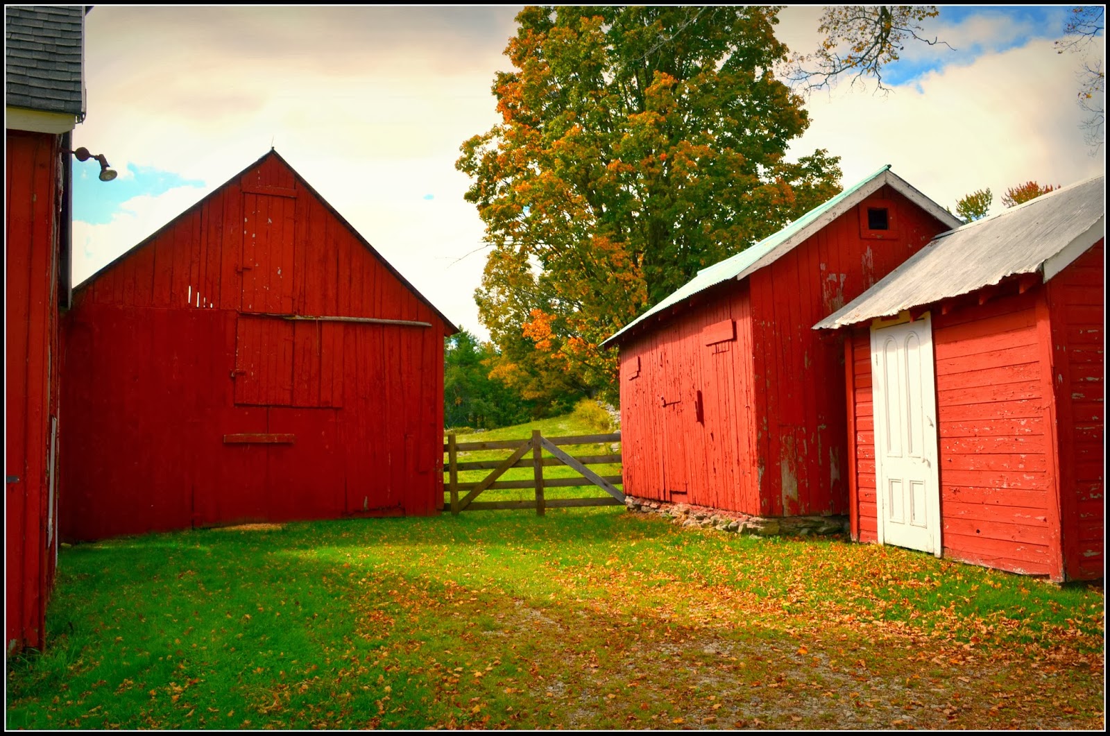 Appetite For Photos Coleman Hills Rd., Rawsonville, VT