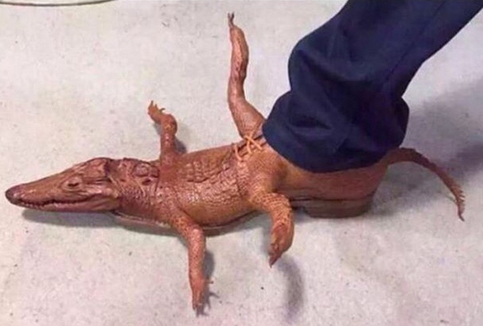 crocodile shoes