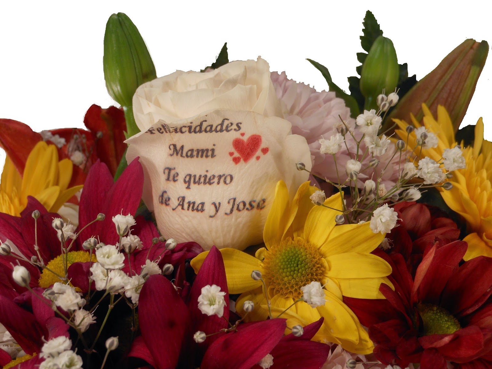 Regalar flores para el dia de la madre