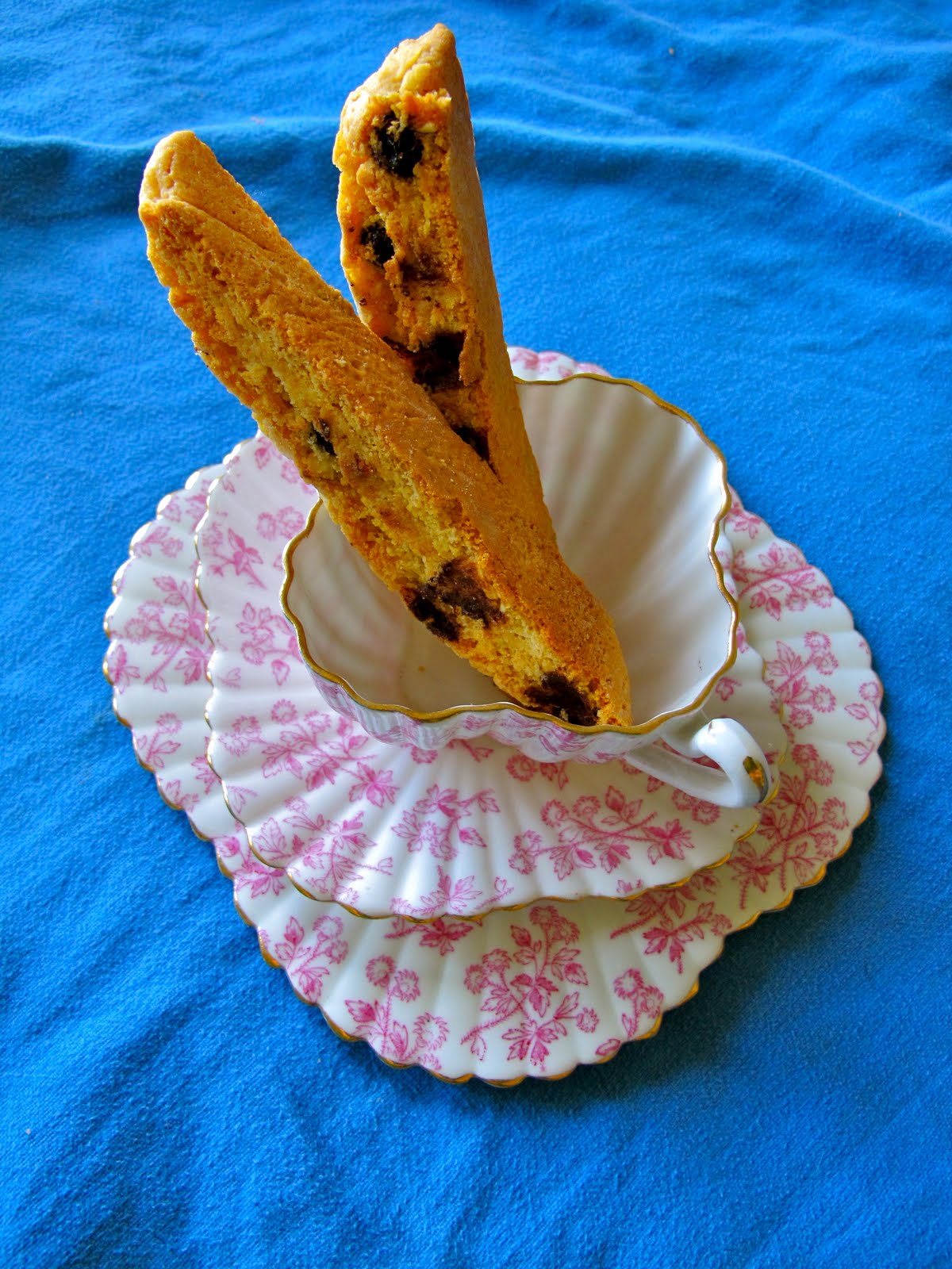 Morning Glory Bakes Chocolate Covered Raisin and Almond Biscotti