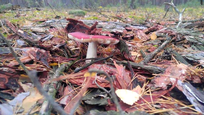 Aktywnie spędzony listopad!