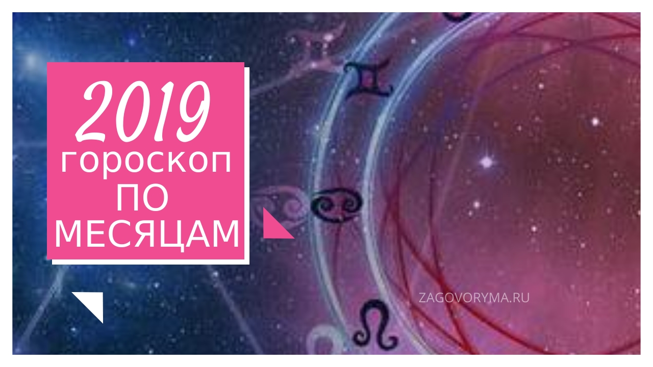 Налог на домашних животных в россии в 2019 году Кроссоверы 2019 модельного года: новинки