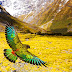 Beautiful New Zealand: Earth’s Mythical Islands