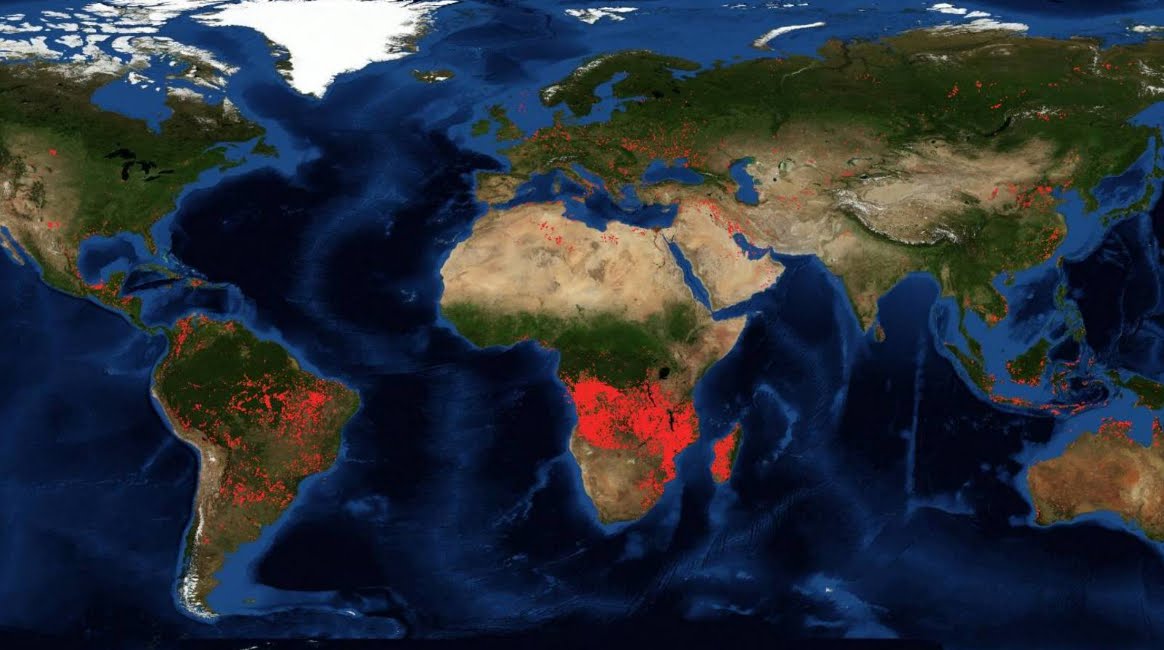 Dopo Amazzonia, brucia anche Africa sub-sahariana, secondo polmone verde del pianeta