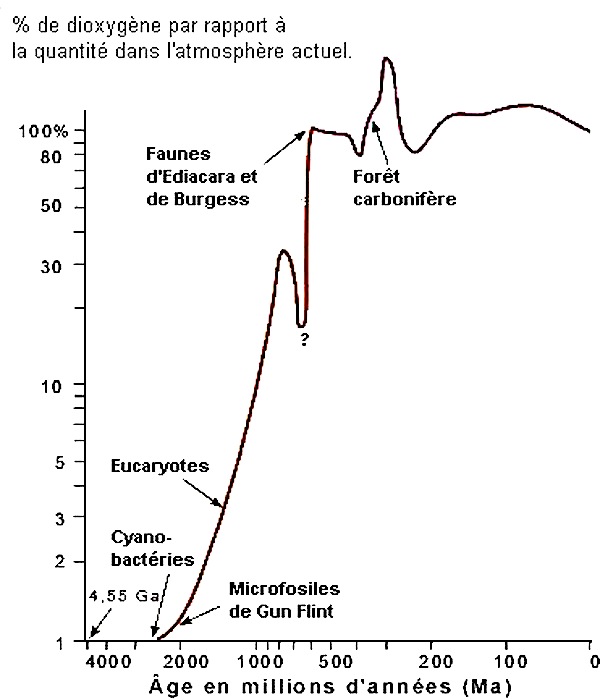 De latmosphère primitive à latmosphère actuelle Le climat dans tous