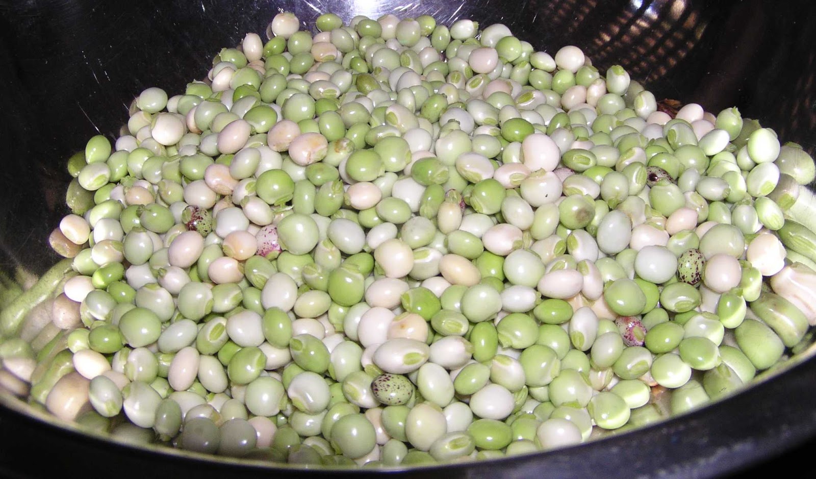 Nigeria to export 100 Billion pigeon pea to India Nigerian News
