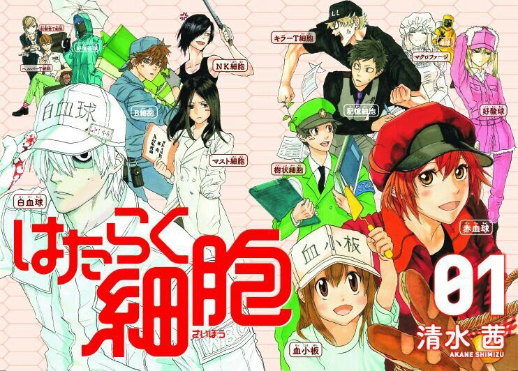 Hataraku Saibou, Cells at work!