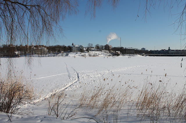 IMG_3745.JPG