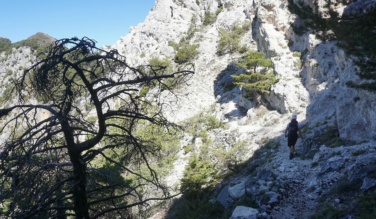 The trail approaching la Baisse des Collettes