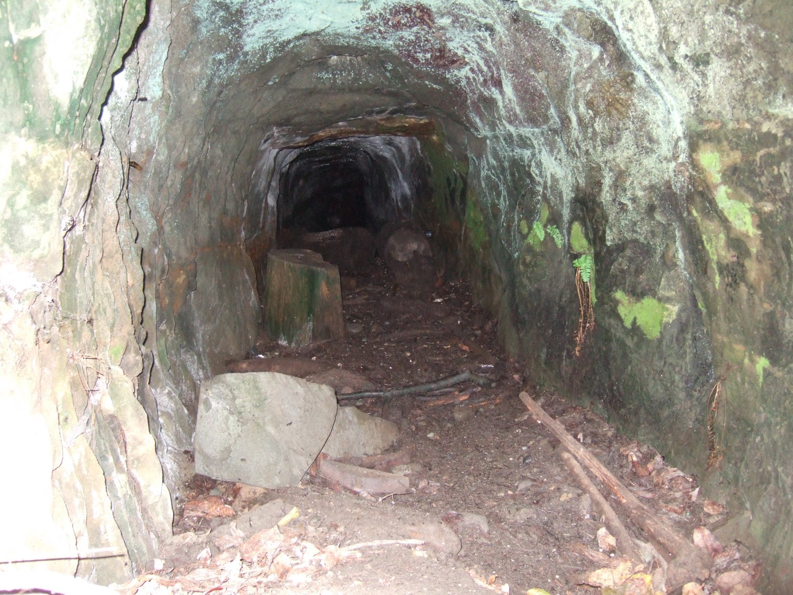 Reading the Washington Landscape Mystery Tunnel at Discovery Bay