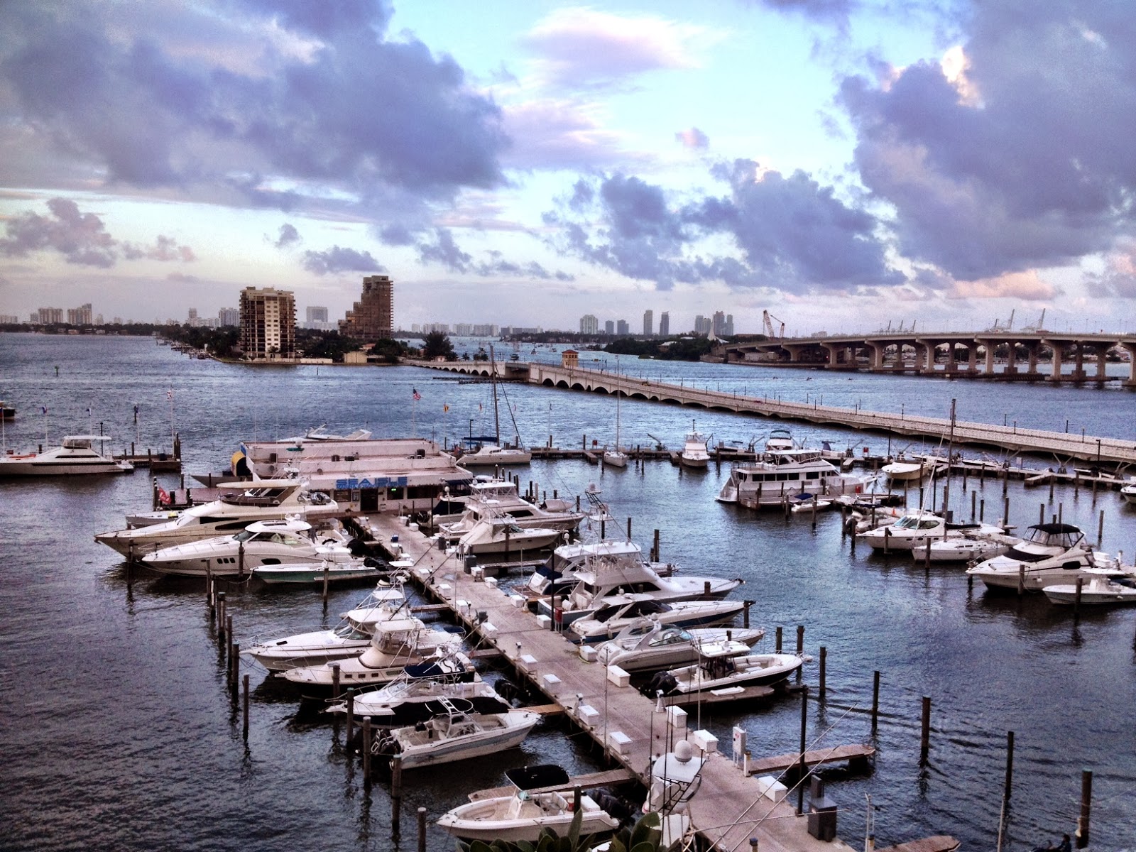 Miami Catch Grill & Bar