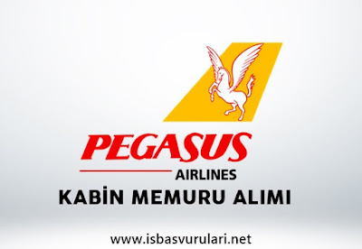 Pegasus iş ilanları Pegasus iş ilanları
