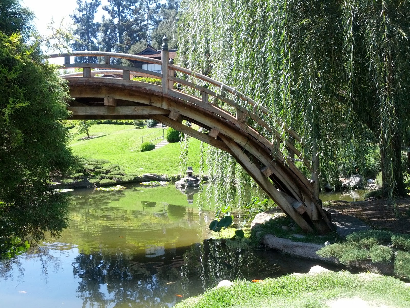 Rikachuuable Huntington Beach Botanical Gardens