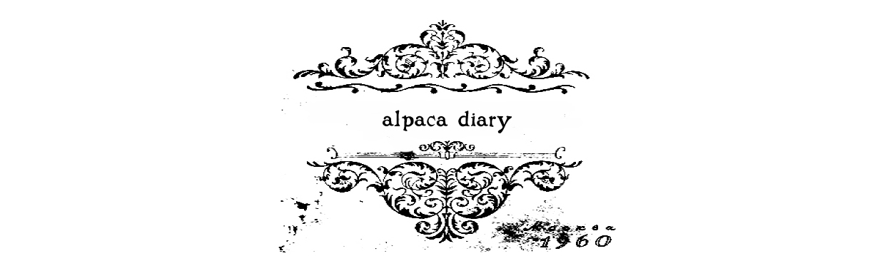 alpaca diary