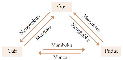 Pengertian Adhesi Kohesi Kapilaritas Dan Perubahan Wujud Zat Benda Beserta Contohnya
