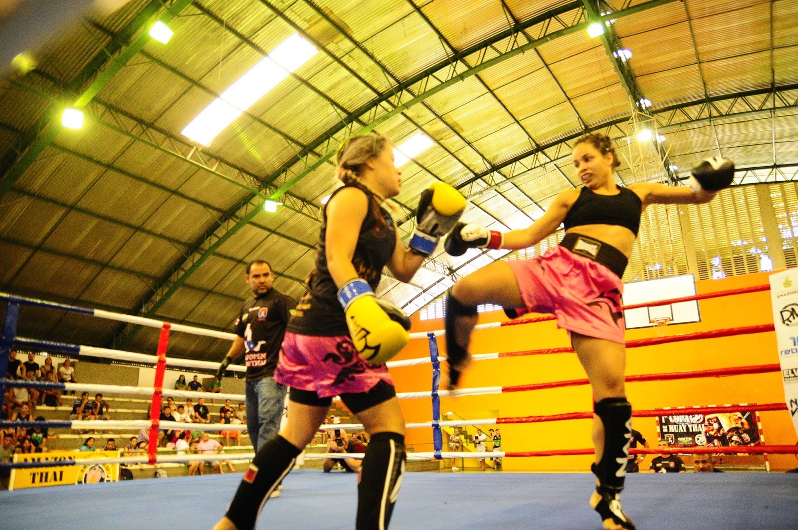 Blog do Teófilo [MUAY THAI] Gran Prix com promessa de revelar novos talentos