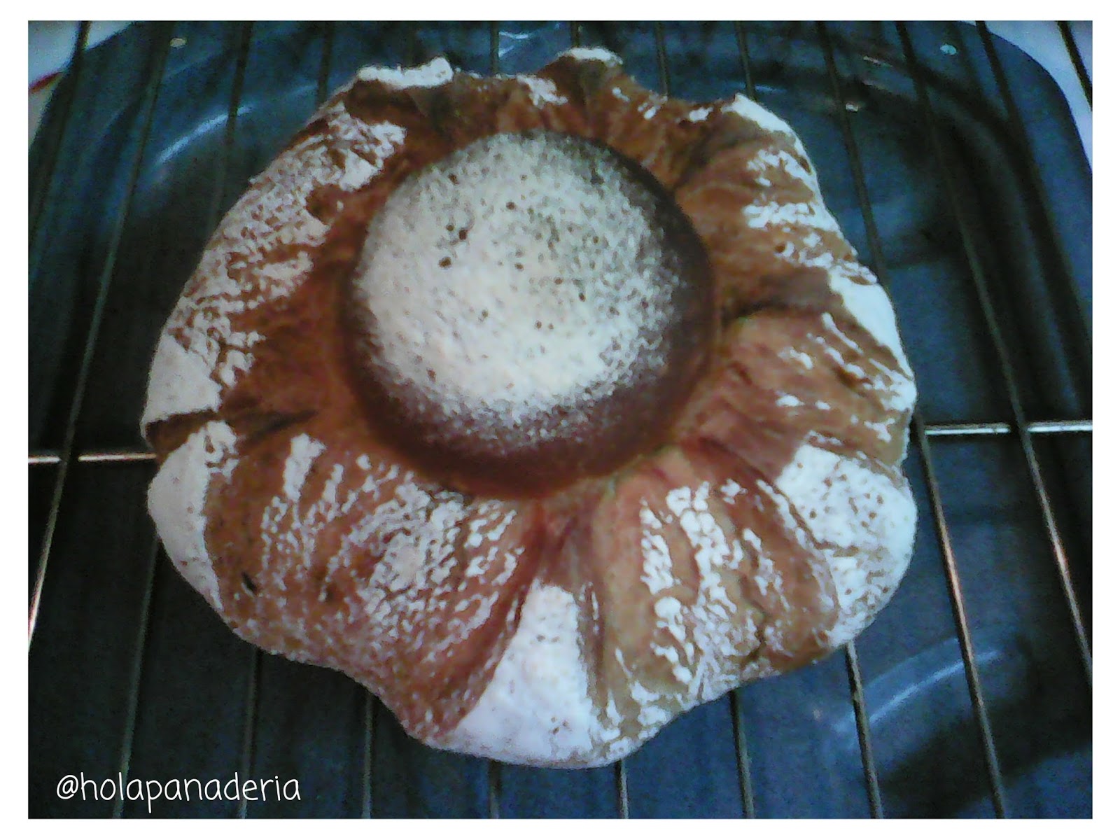 Hola panadería PAN DE MALTA LIQUIDA