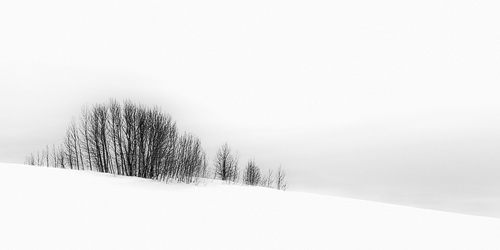 Olivier Du Tré Photography Blog: Minimalist Winter Workshop Results ...