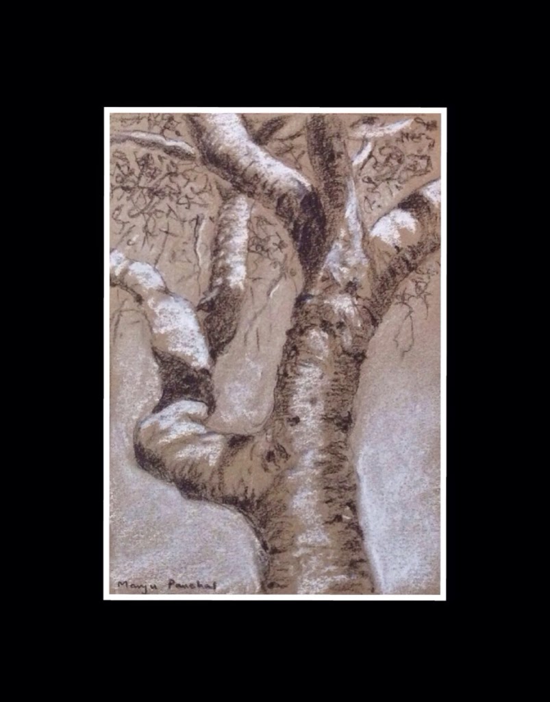 Charcoal sketching of a tree by Manju Panchal