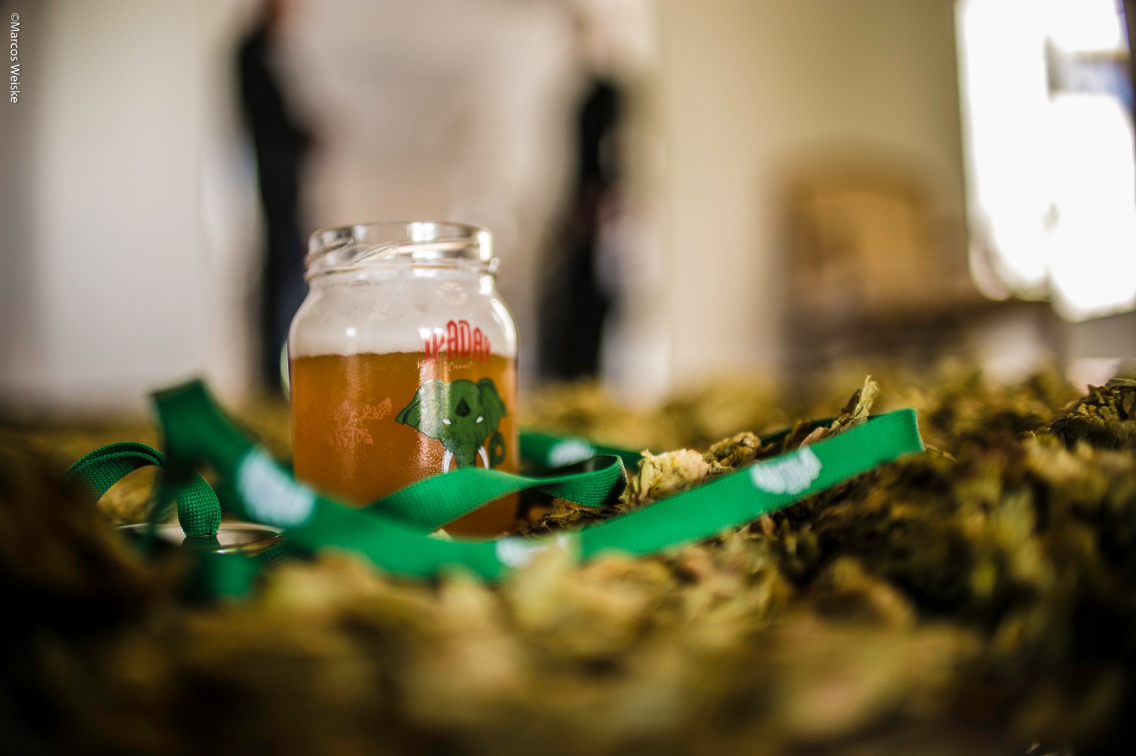 Facts & Figures do IPA Day Brasil NINKASI BEER CLUB