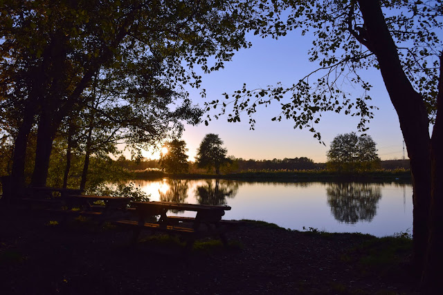 Mit 8 Megapixeln durch die Niederlausitz