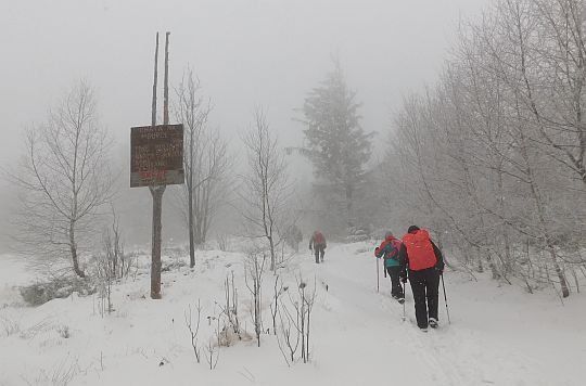 Przy tablicy kierującej do sklepu spożywczego.