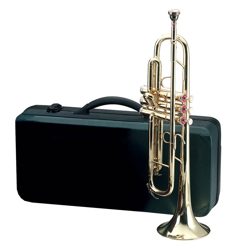 Maxam Brass Trumpet Discount January 2012