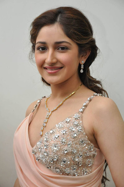 Sayesha Saigal Spicy Photoshoot Stills