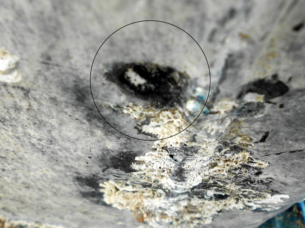 The Marine Installer's Rant The boat is a zinc'er