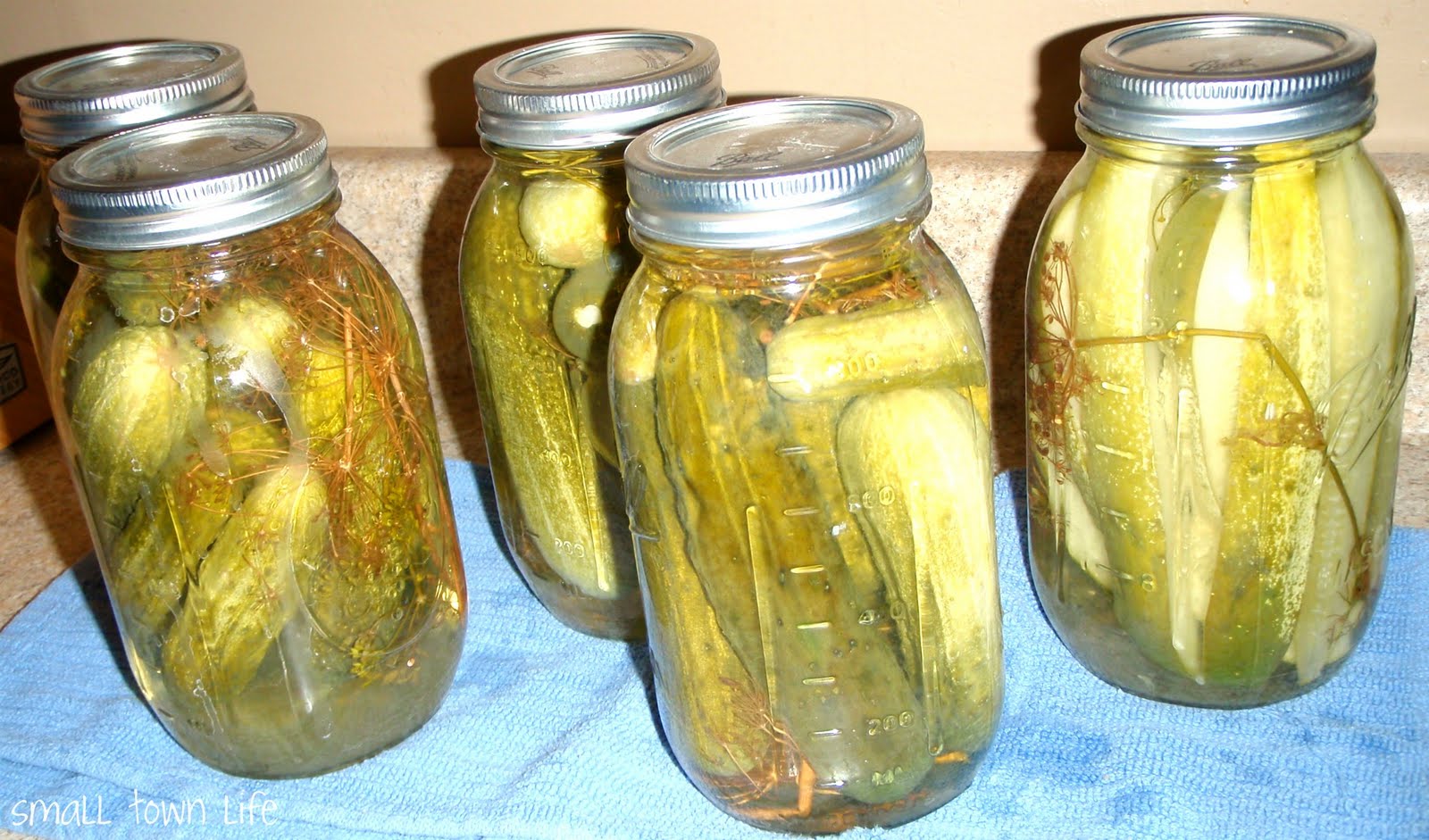 Small Town Life Grandma's Dill Pickles