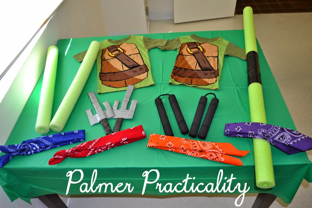 Palmer Practicality Homemade Teenage Mutant Ninja Turtle C pic