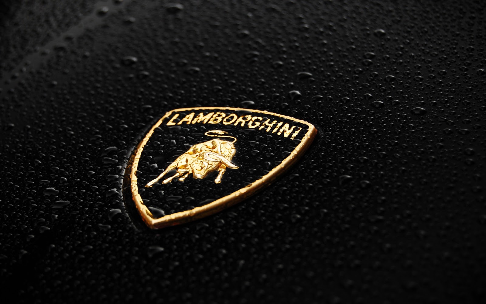 lamborghini logo wallpaper hd pics